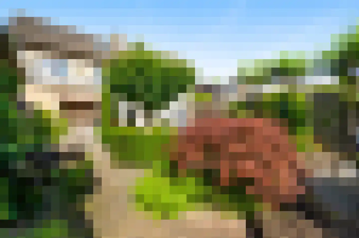 Hoge Zij 6 Helmond thumbnail 40