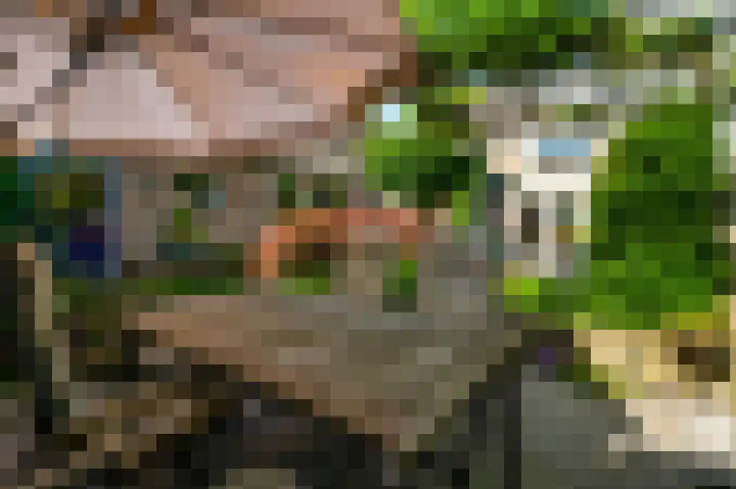 Hoge Zij 6 Helmond thumbnail 41