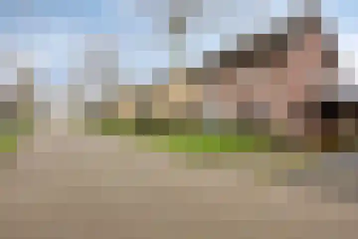 Hoge Zij 9 Helmond thumbnail 10