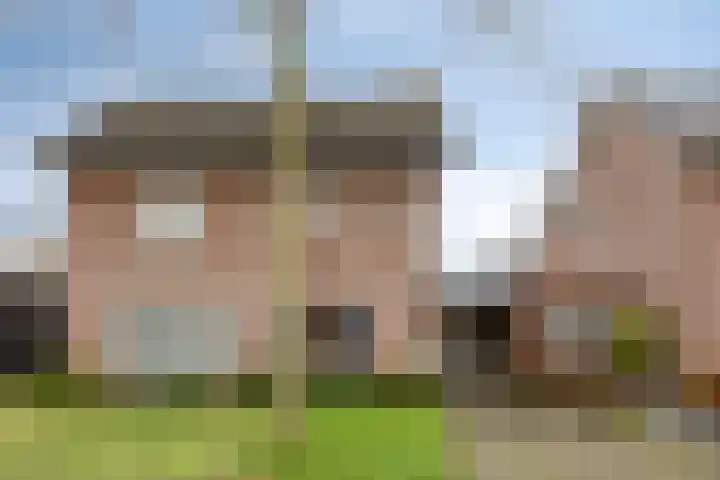 Hoge Zij 9 Helmond thumbnail 11