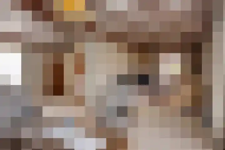 Hoge Zij 9 Helmond thumbnail 15