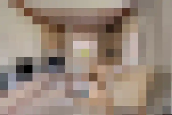 Hoge Zij 9 Helmond thumbnail 17