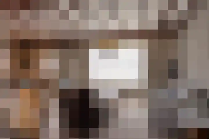 Hoge Zij 9 Helmond thumbnail 24
