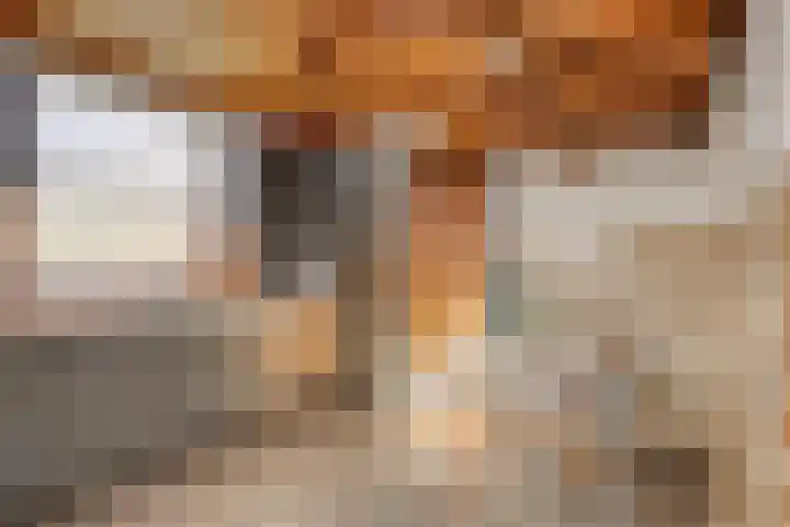 Hoge Zij 9 Helmond thumbnail 27