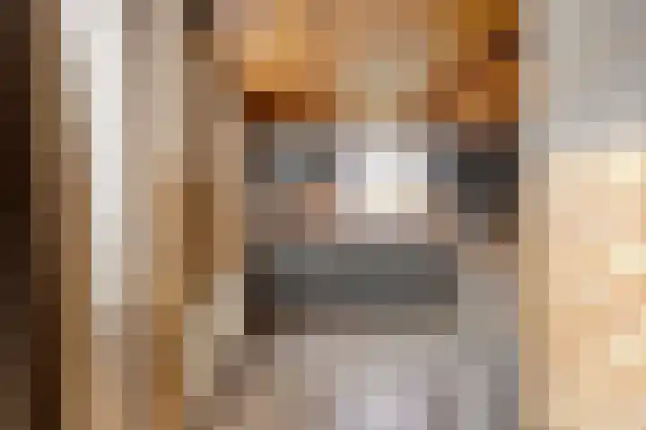 Hoge Zij 9 Helmond thumbnail 29