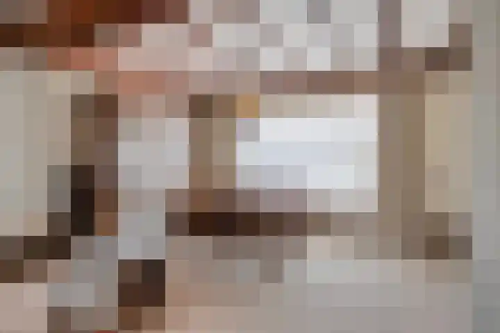 Hoge Zij 9 Helmond foto 3
