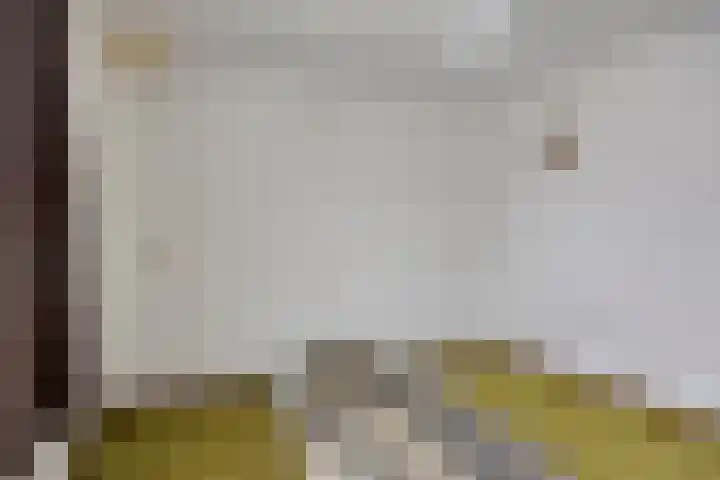 Hoge Zij 9 Helmond thumbnail 36