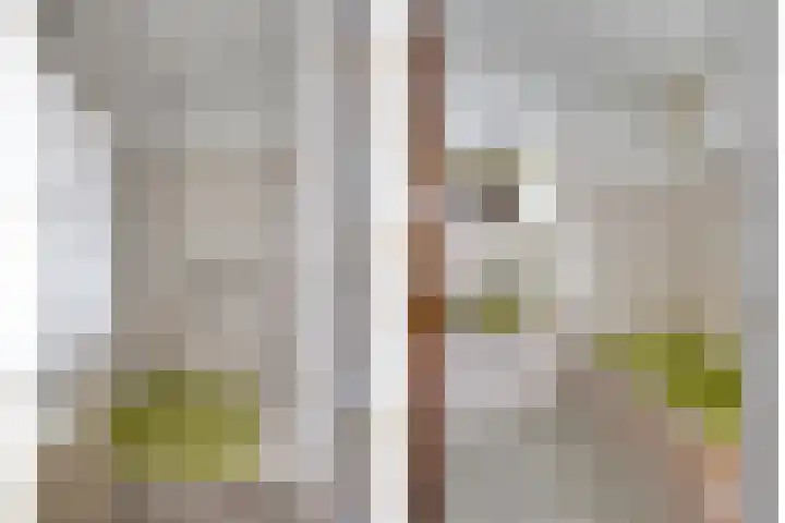 Hoge Zij 9 Helmond thumbnail 37