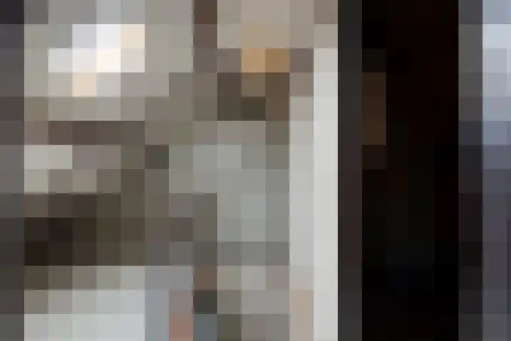 Hoge Zij 9 Helmond thumbnail 39