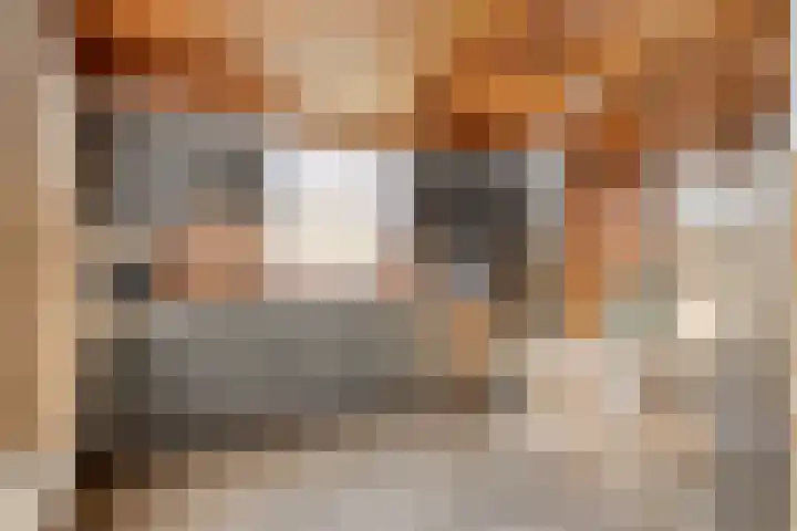 Hoge Zij 9 Helmond thumbnail 4