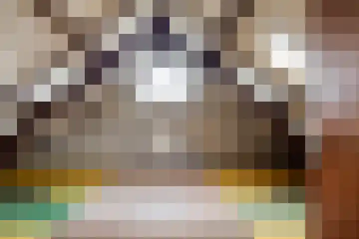 Hoge Zij 9 Helmond thumbnail 40