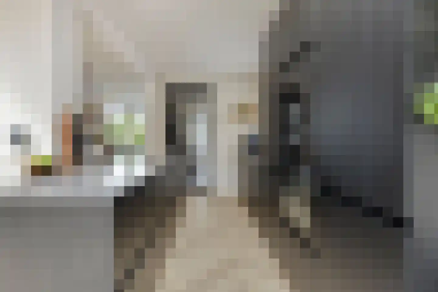 Hoge Zijde 21 Bavel thumbnail 12