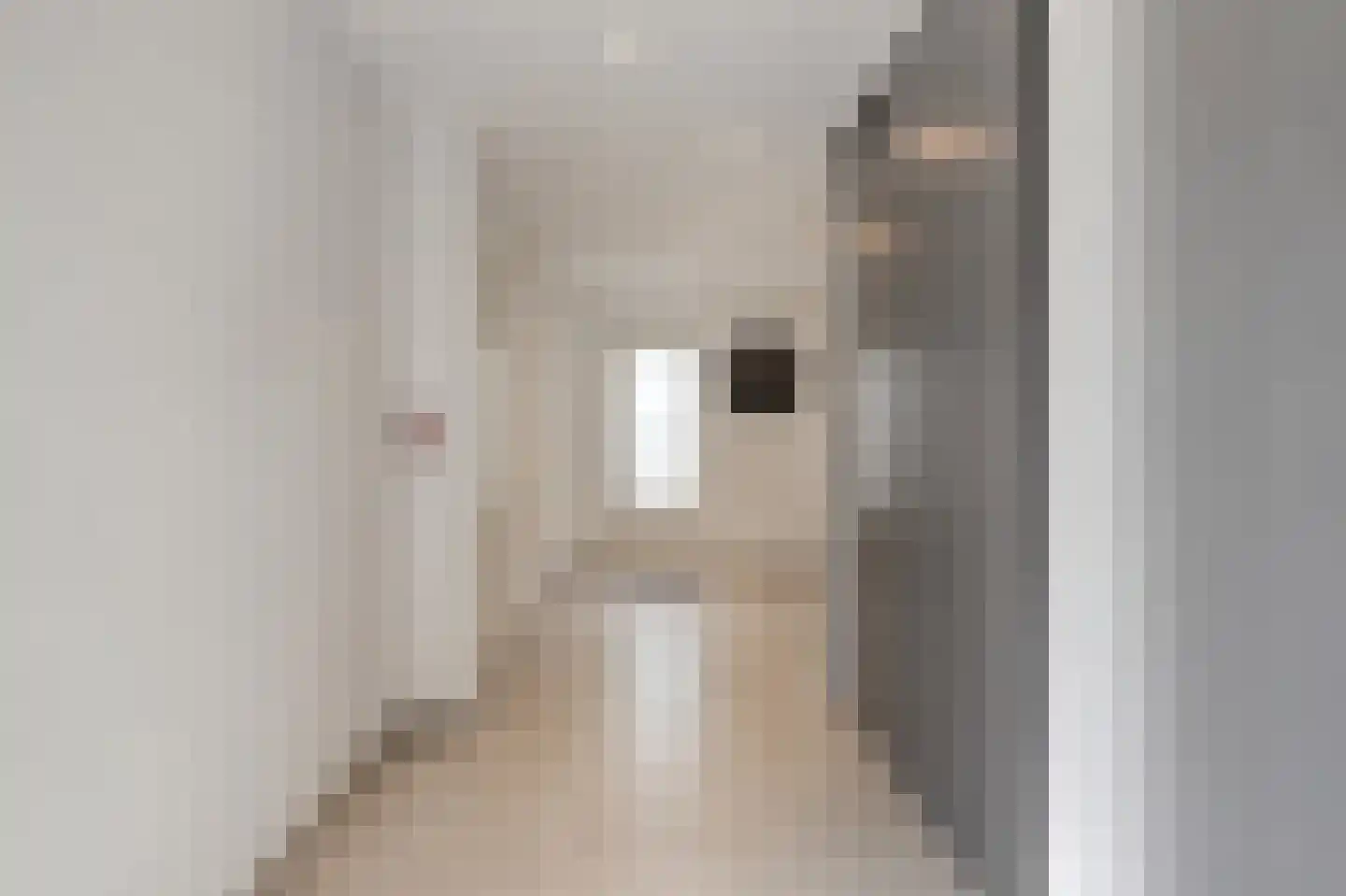 Hoge Zijde 21 Bavel thumbnail 19