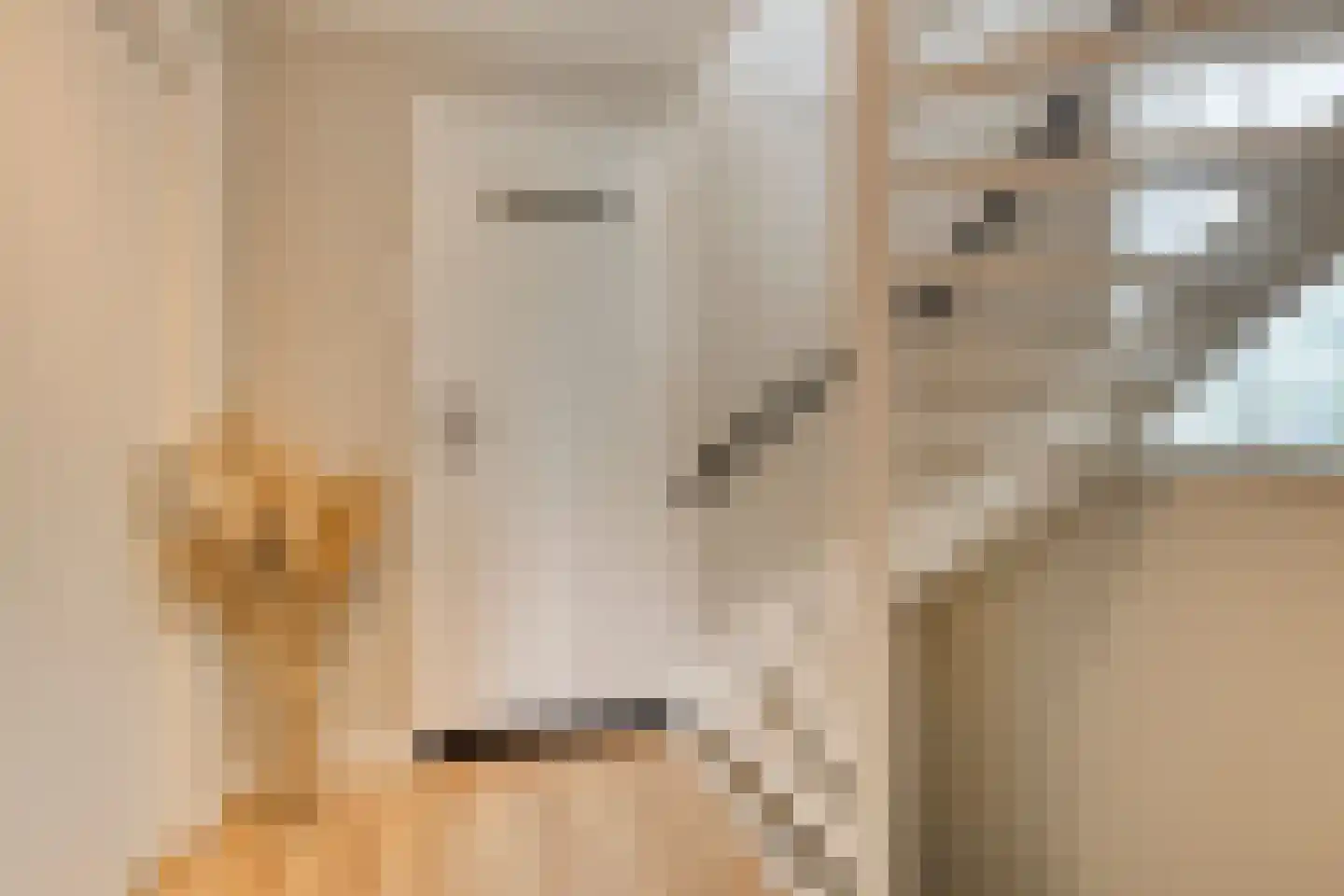 Hoge Zijde 21 Bavel thumbnail 20