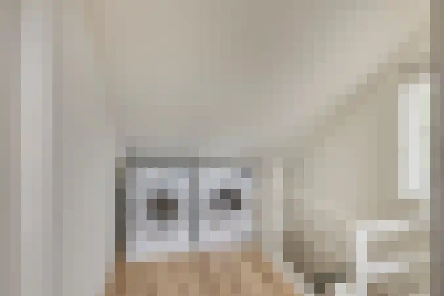 Hoge Zijde 21 Bavel thumbnail 27