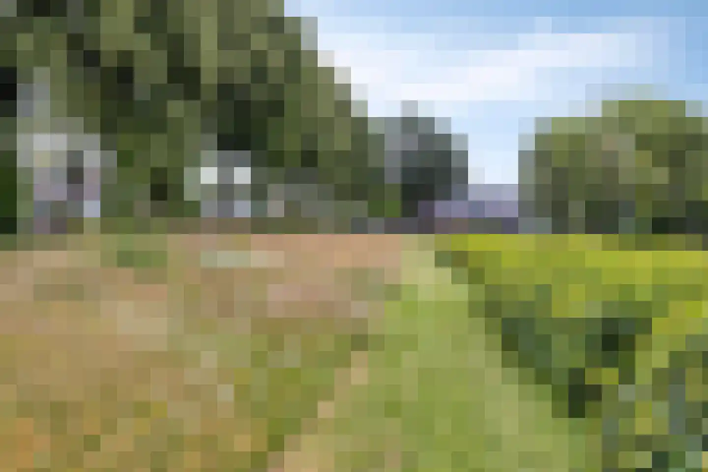 Hoge Zijde 21 Bavel thumbnail 36