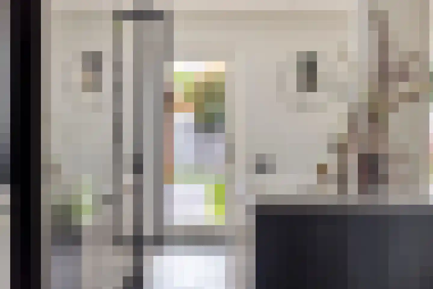 Hoge Zijde 21 Bavel thumbnail 8