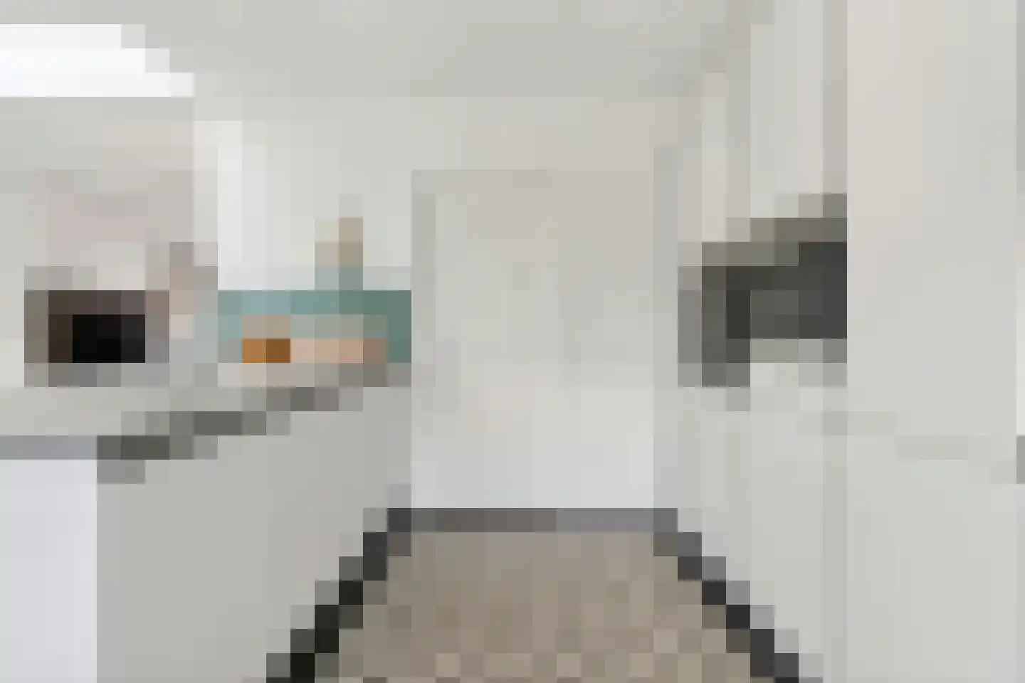 Hoge Zijde 66 Bavel thumbnail 12