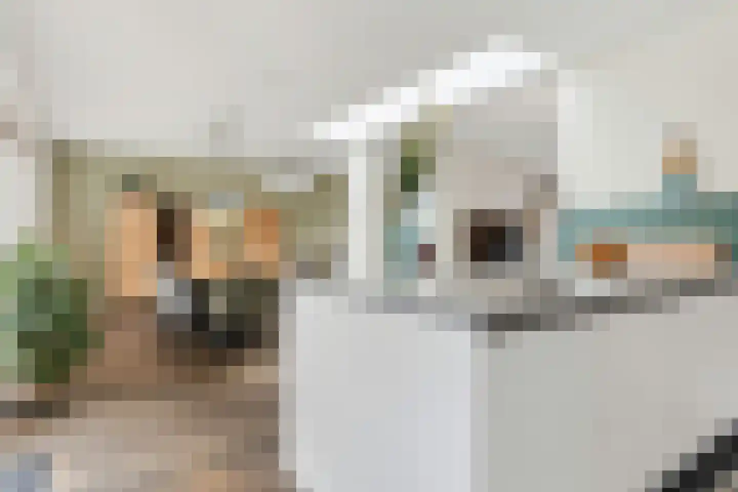 Hoge Zijde 66 Bavel thumbnail 15
