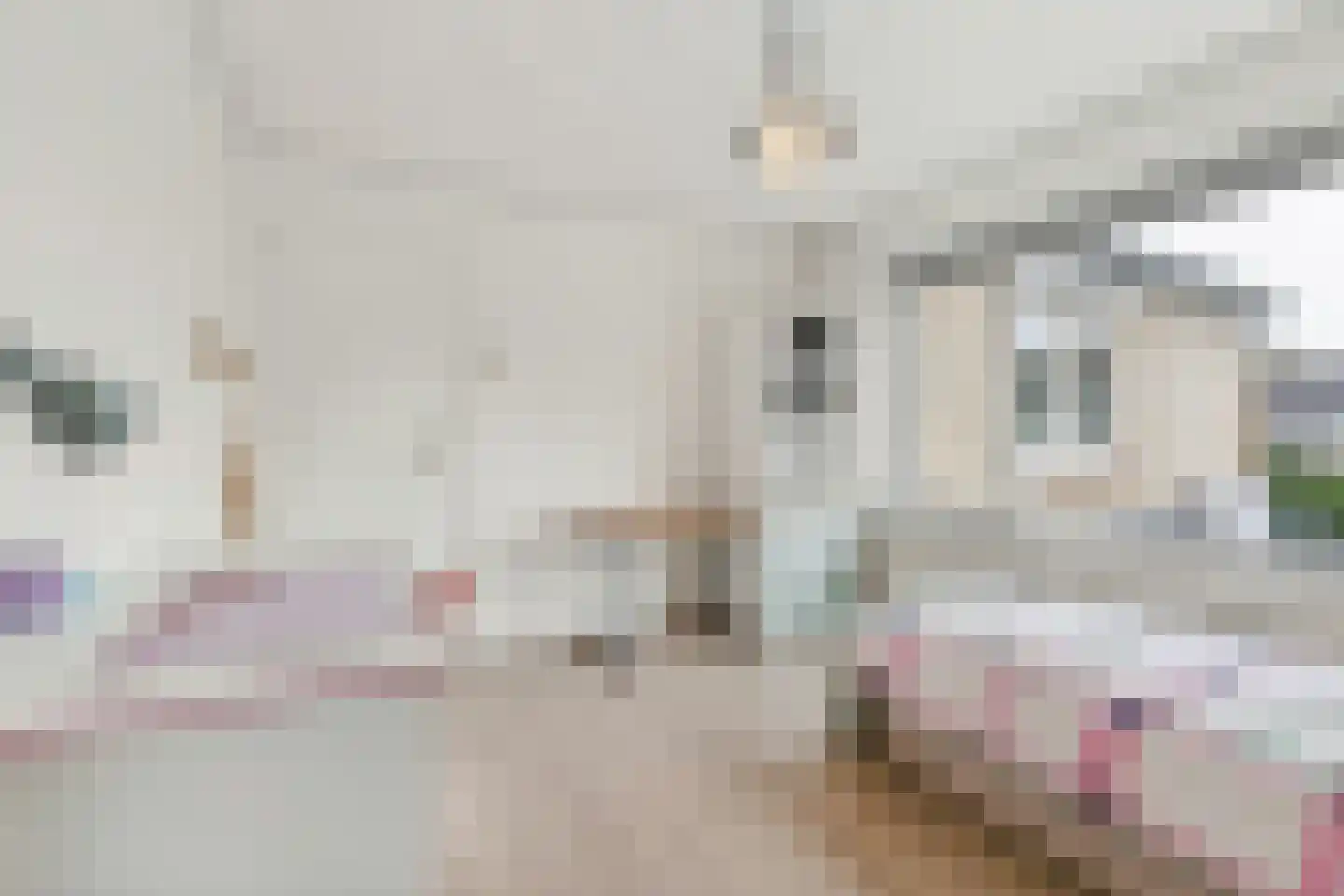 Hoge Zijde 66 Bavel thumbnail 20