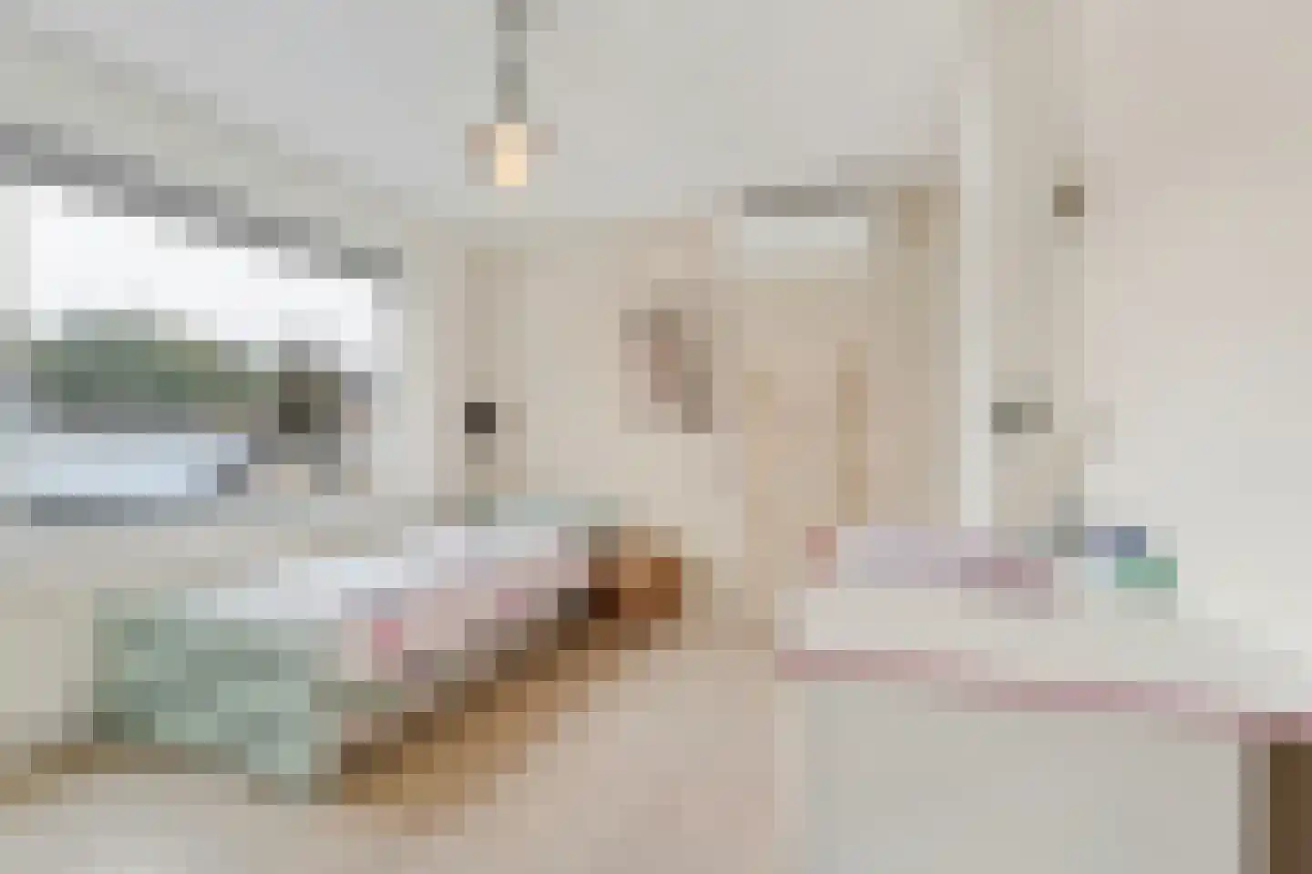 Hoge Zijde 66 Bavel thumbnail 21