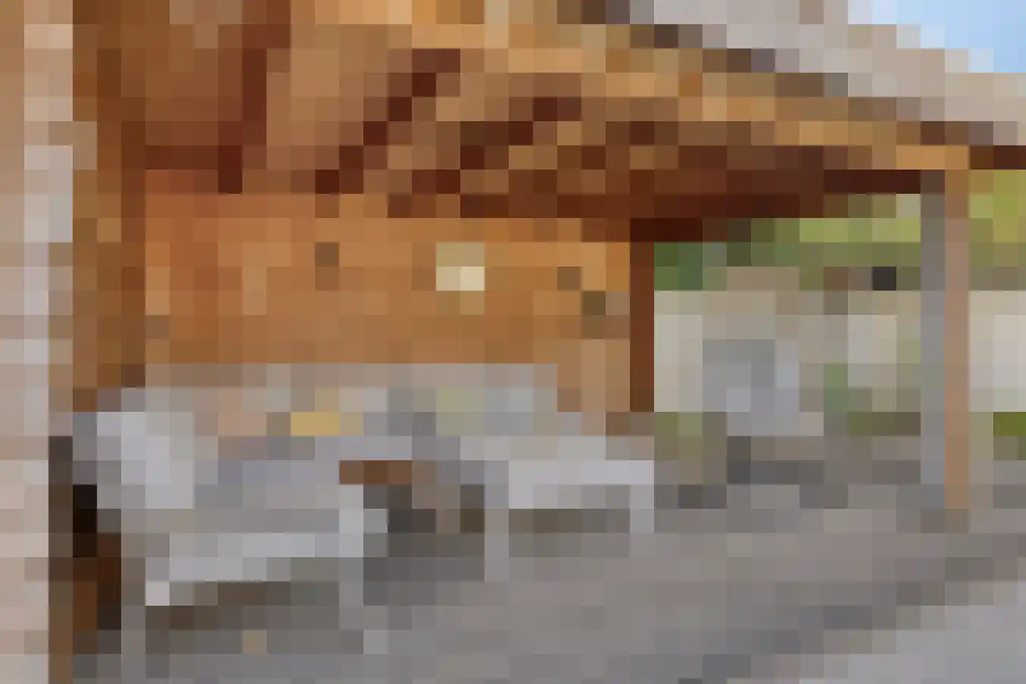 Hoge Zijde 66 Bavel thumbnail 34