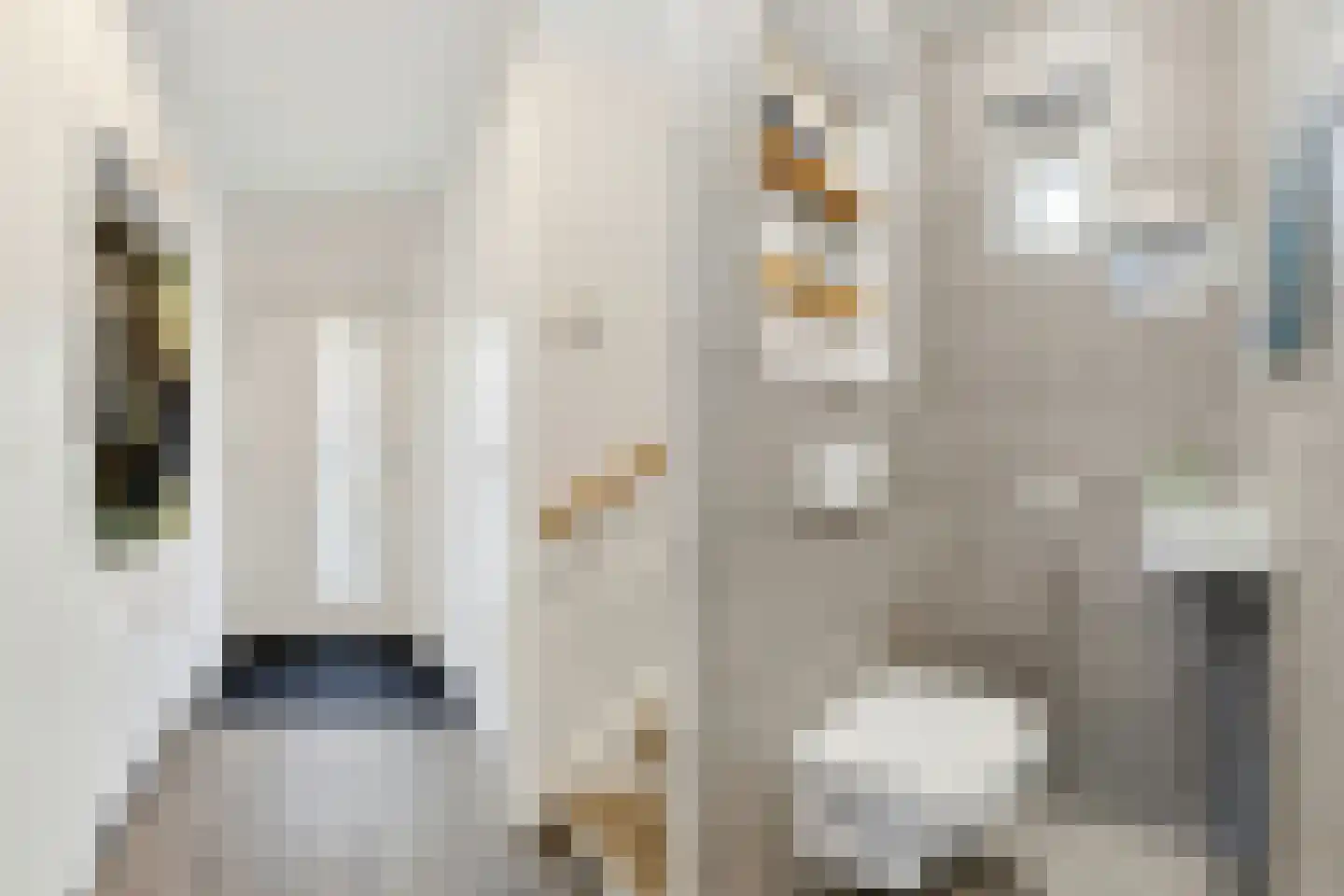Hoge Zijde 66 Bavel thumbnail 6