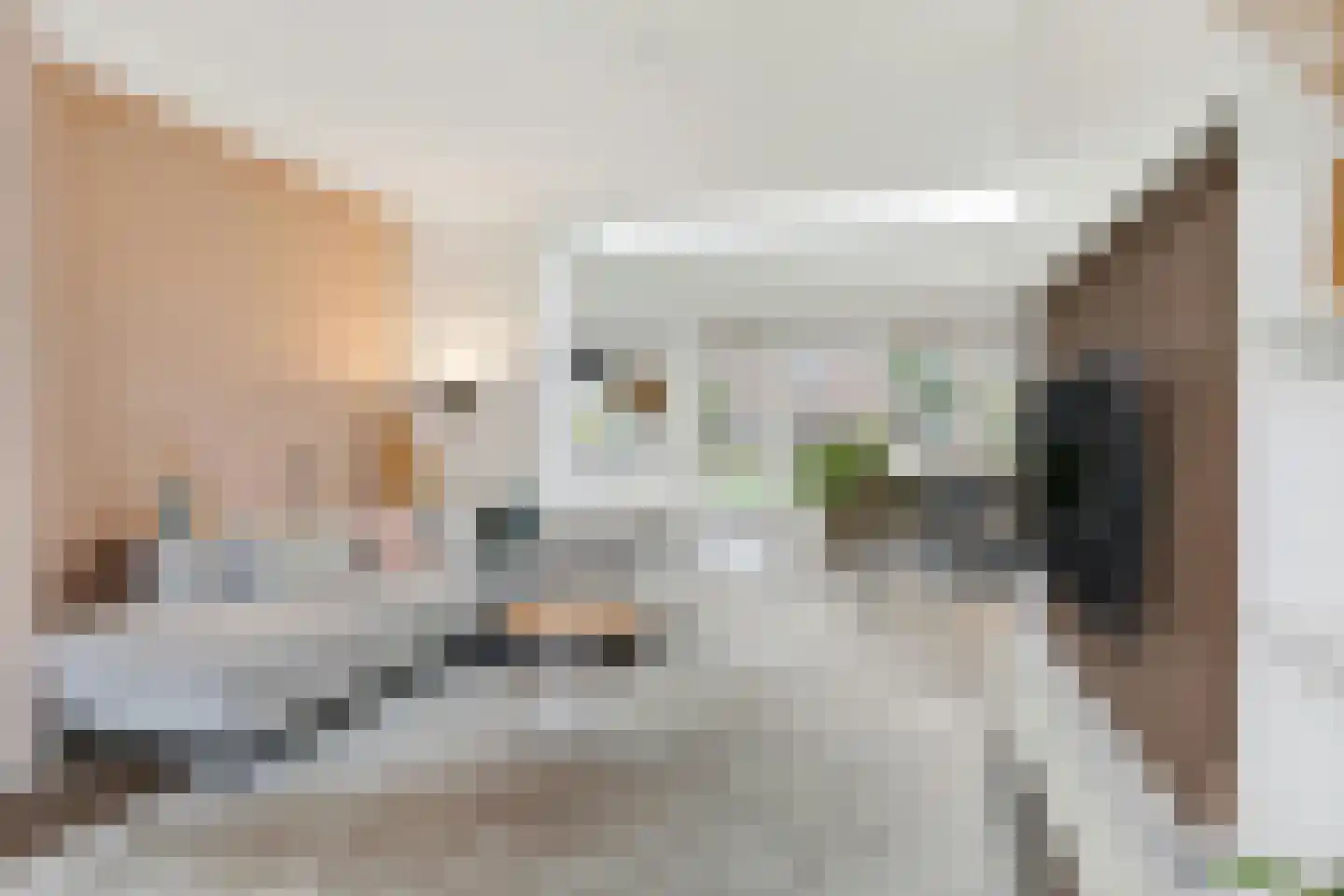 Hoge Zijde 66 Bavel thumbnail 8