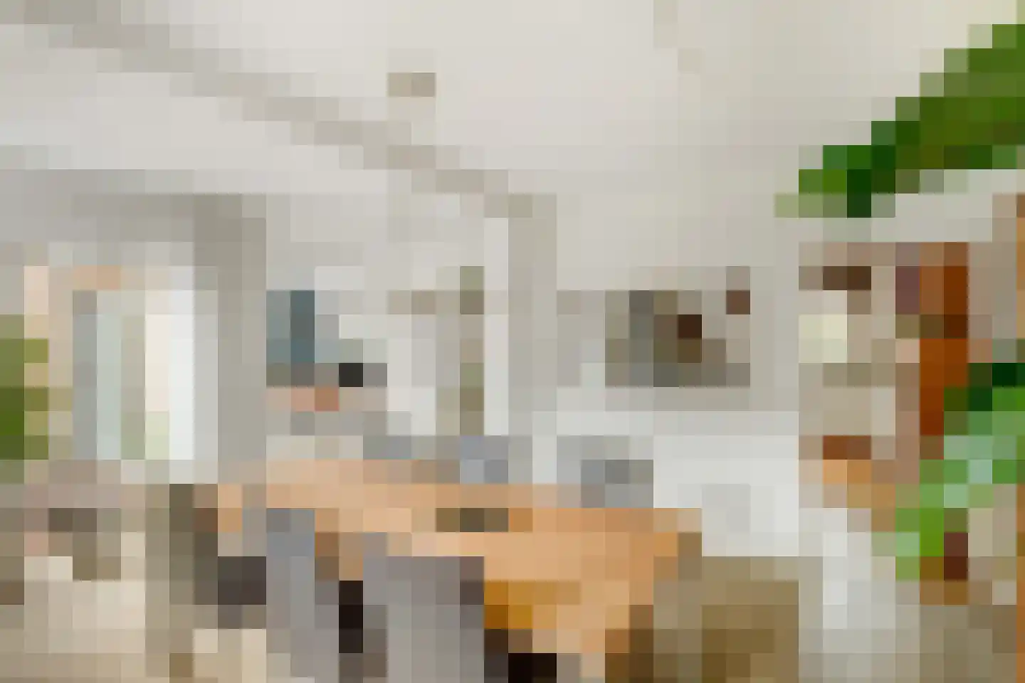Hoge Zijde 72 Bavel thumbnail 11