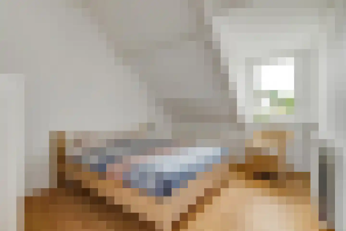 Hoge Zijde 72 Bavel thumbnail 28
