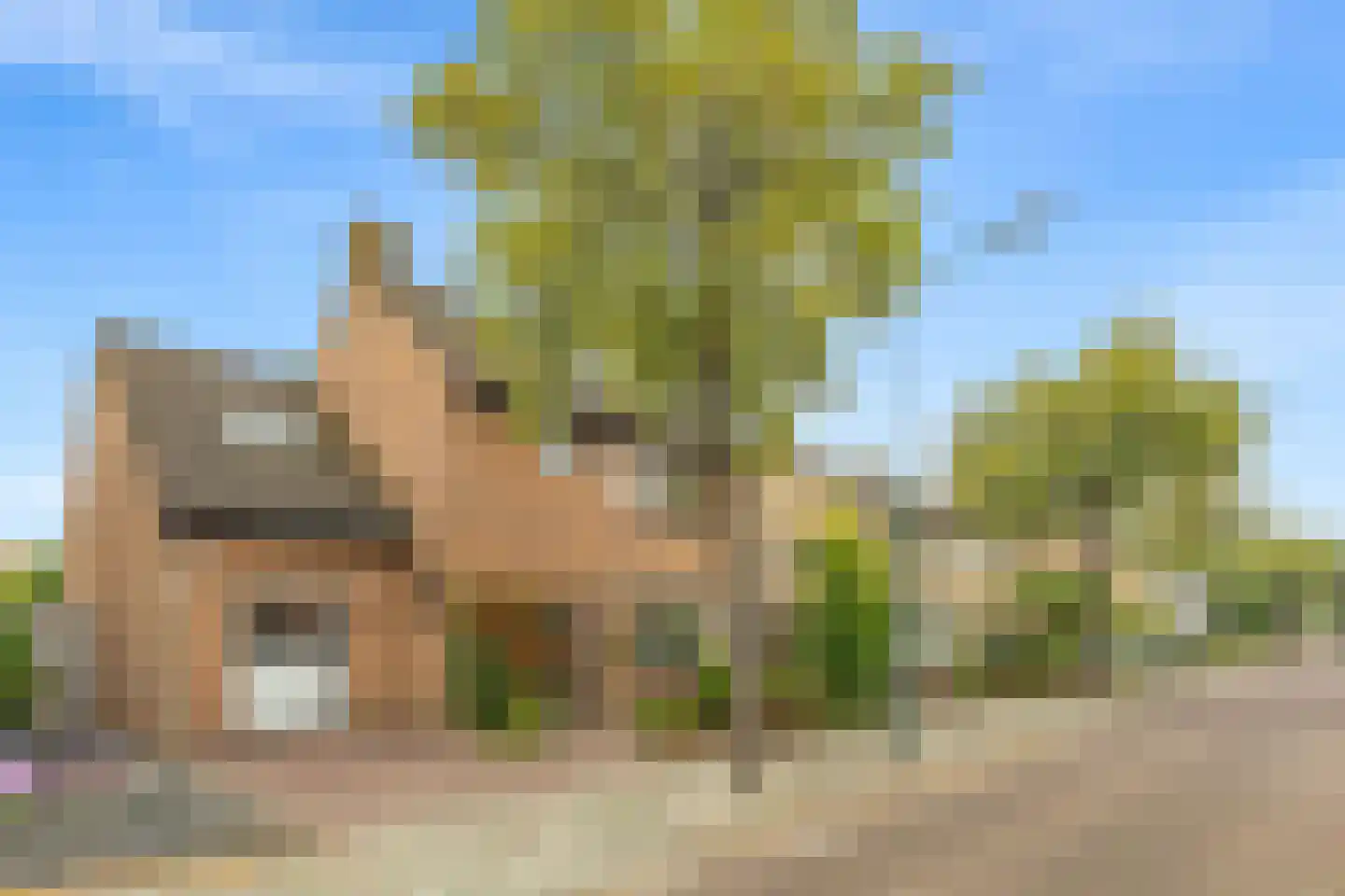 Hoge Zijde 72 Bavel foto 3