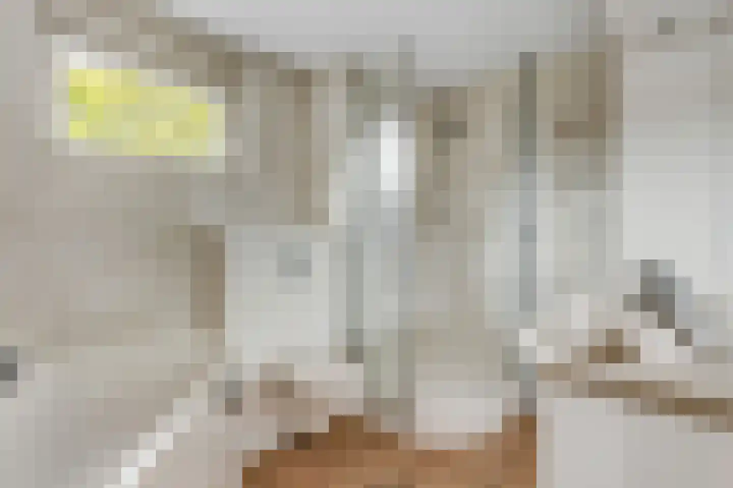 Hoge Zijde 72 Bavel thumbnail 33