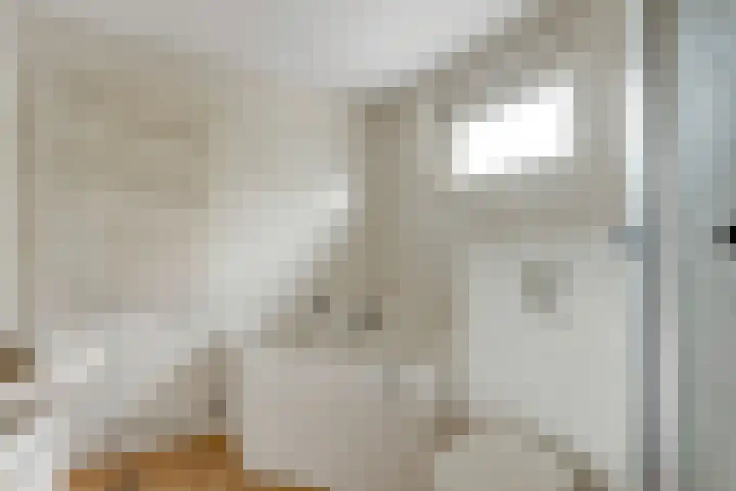 Hoge Zijde 72 Bavel thumbnail 34