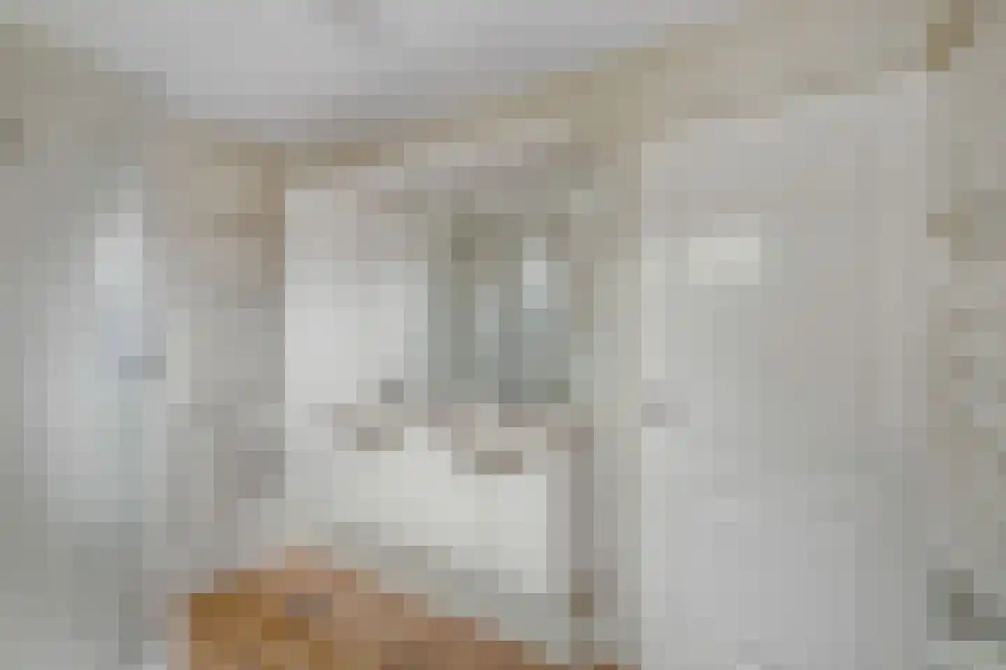 Hoge Zijde 72 Bavel thumbnail 35