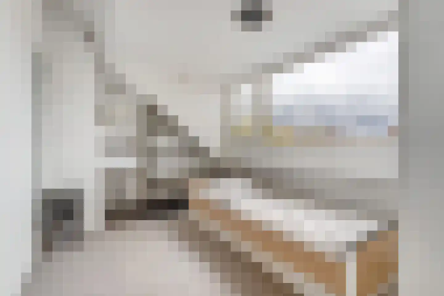 Hoge Zijde 72 Bavel thumbnail 38
