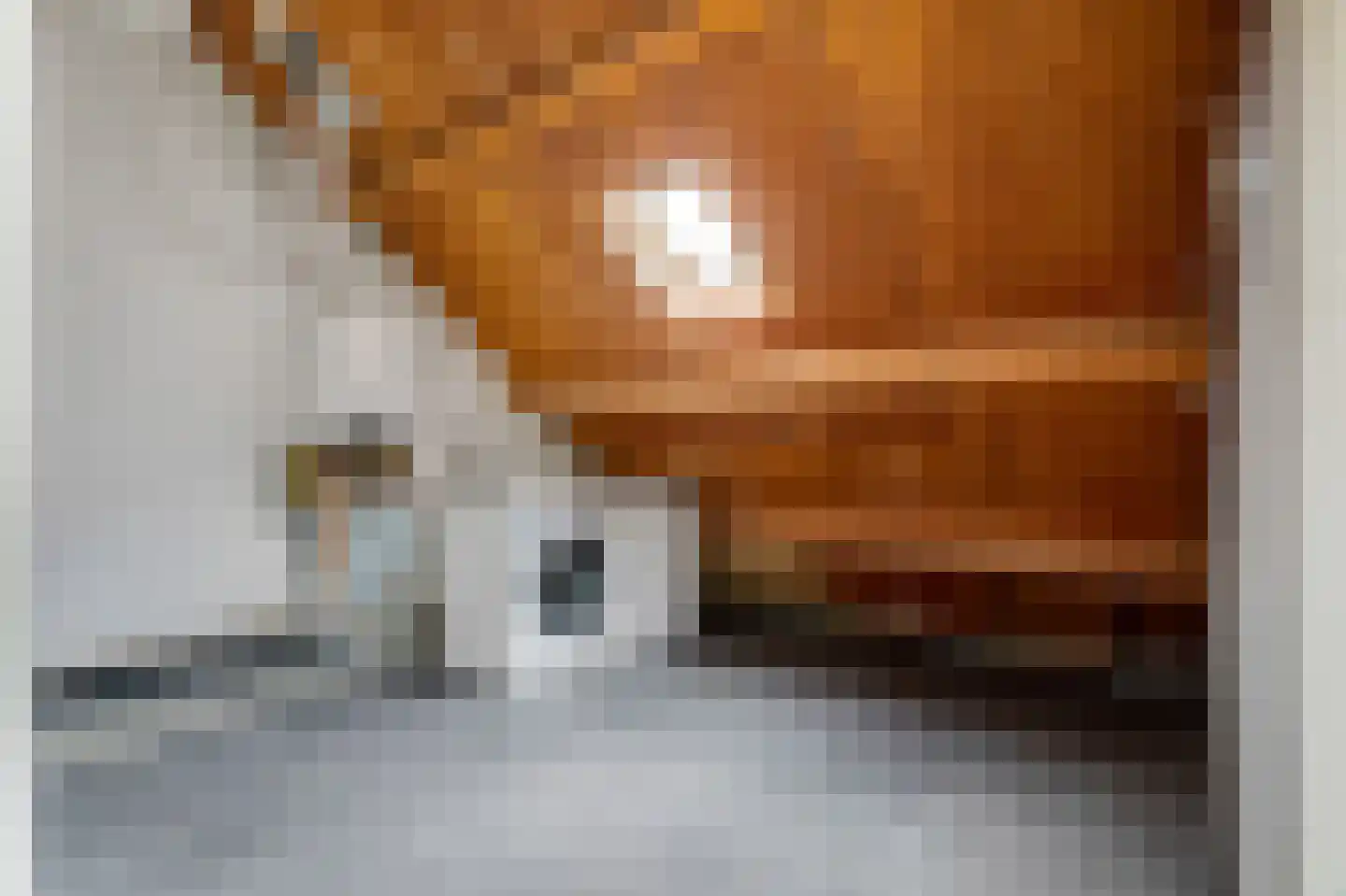 Hoge Zijde 72 Bavel thumbnail 39