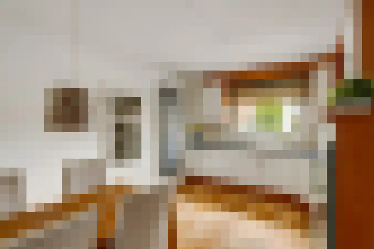 Hoge Zijde 72 Bavel thumbnail 6