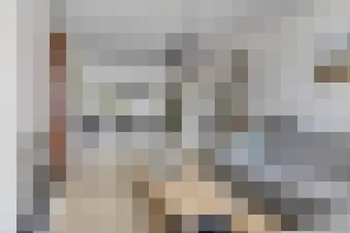 Hoge Zijde 74 Bavel thumbnail 12