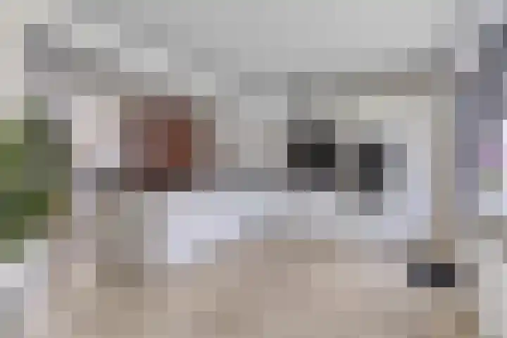 Hoge Zijde 74 Bavel thumbnail 14