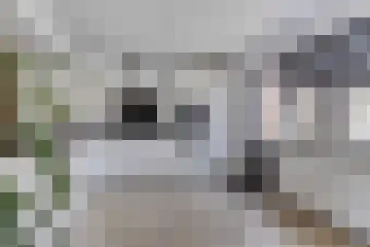 Hoge Zijde 74 Bavel thumbnail 15