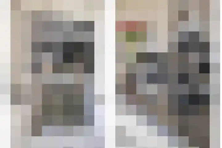 Hoge Zijde 74 Bavel thumbnail 16