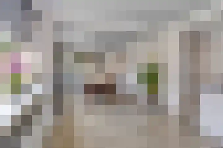 Hoge Zijde 74 Bavel thumbnail 17