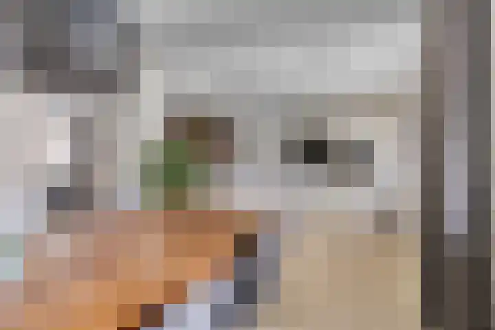 Hoge Zijde 74 Bavel thumbnail 18