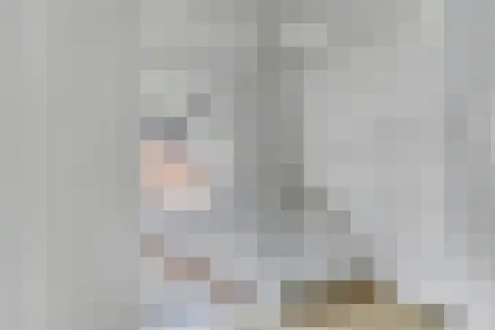Hoge Zijde 74 Bavel thumbnail 19