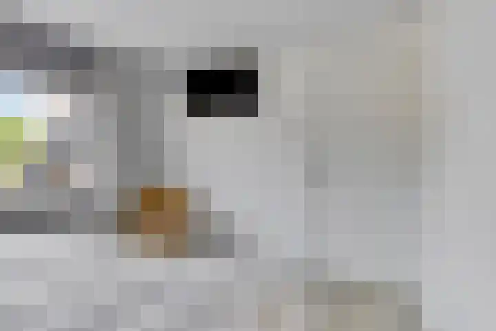 Hoge Zijde 74 Bavel thumbnail 21