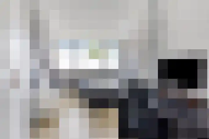Hoge Zijde 74 Bavel thumbnail 23