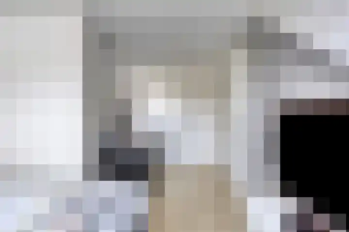 Hoge Zijde 74 Bavel thumbnail 24