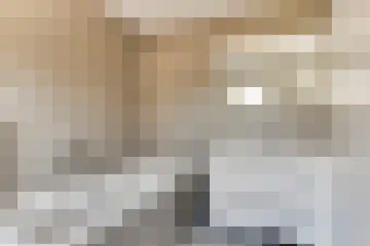 Hoge Zijde 74 Bavel thumbnail 25
