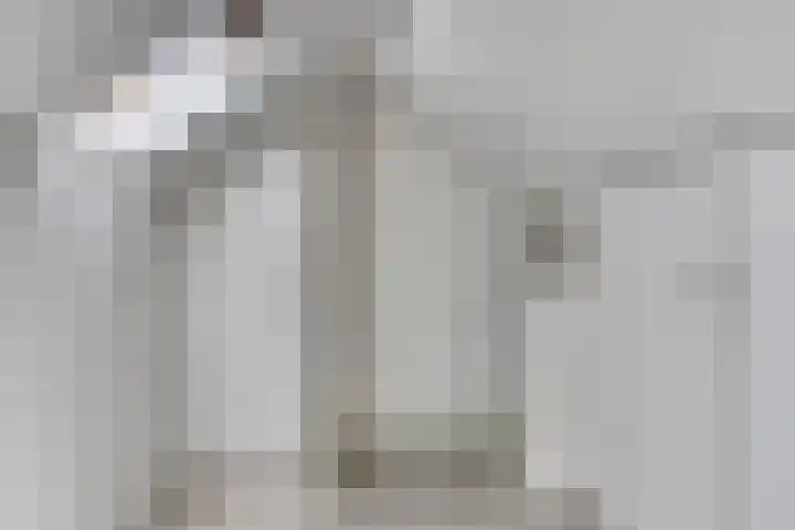 Hoge Zijde 74 Bavel thumbnail 27