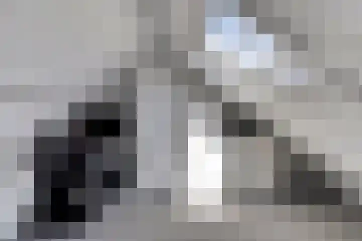 Hoge Zijde 74 Bavel thumbnail 28